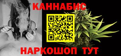 гашик Гатчина