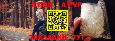 гашик Гатчина